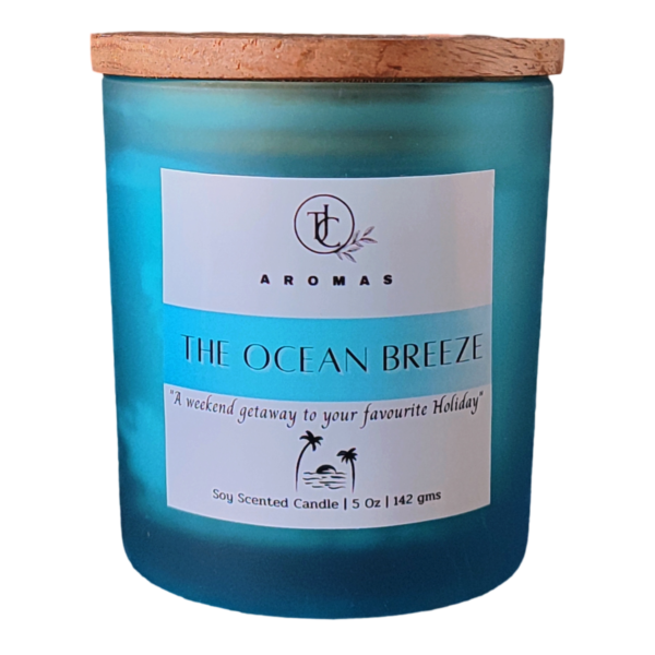 the ocean breeze jar candle