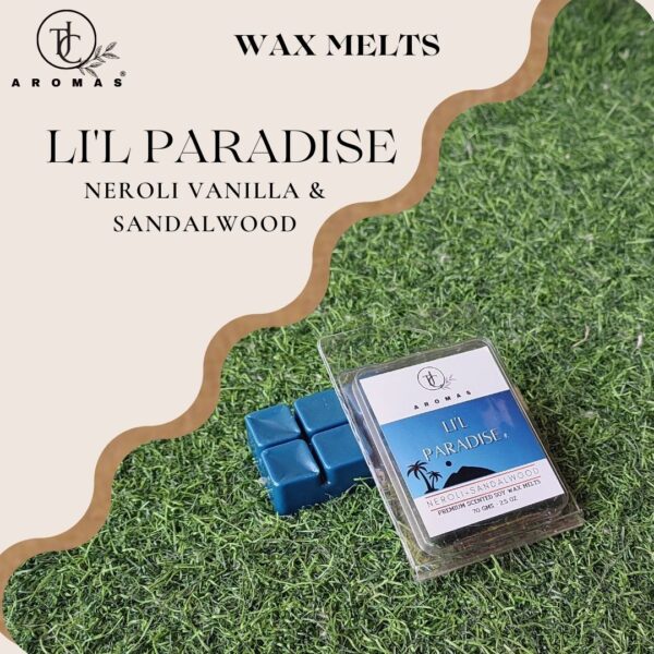 Lil paradise wax melts