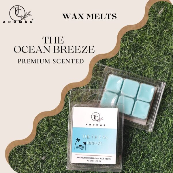 The Ocean Breeze Wax Melts - Image 4