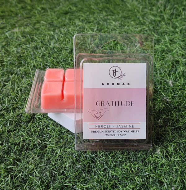 Gratitude wax melts